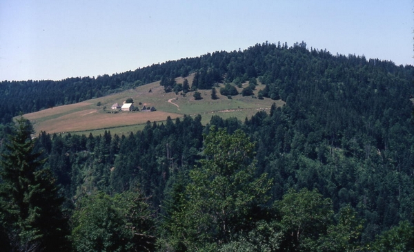 paysage du Puy de Dôme