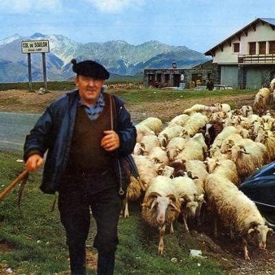 un berger au sommet du col du soulor 1450 m