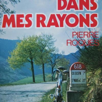 du soleil dans mes rayons par Pierre Roques