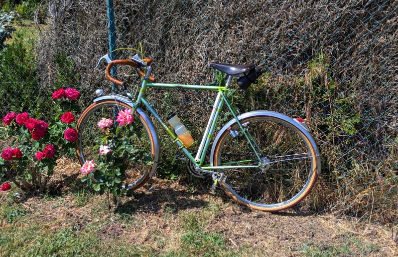 20250530 140538806 pres de la bohalle